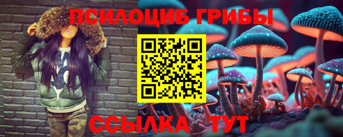 Псилоцибиновые грибы Cubensis Кохма