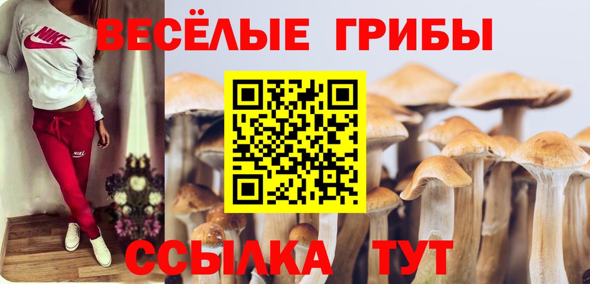 Галлюциногенные грибы прущие грибы  Вход с VPN  Кохма  Галлюциногенные грибы Cubensis 