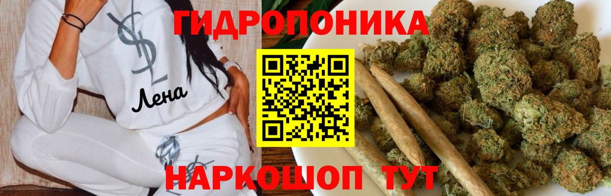 Канабис марихуана  Бошки марихуана OG Kush  Кохма  Шишки марихуана планчик  Бошки Шишки White Widow  Вход с VPN 